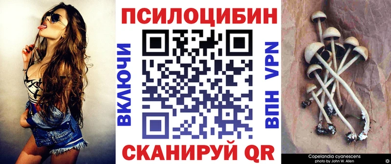 Галлюциногенные грибы MAGIC MUSHROOMS  купить наркотики цена  Заозёрск 